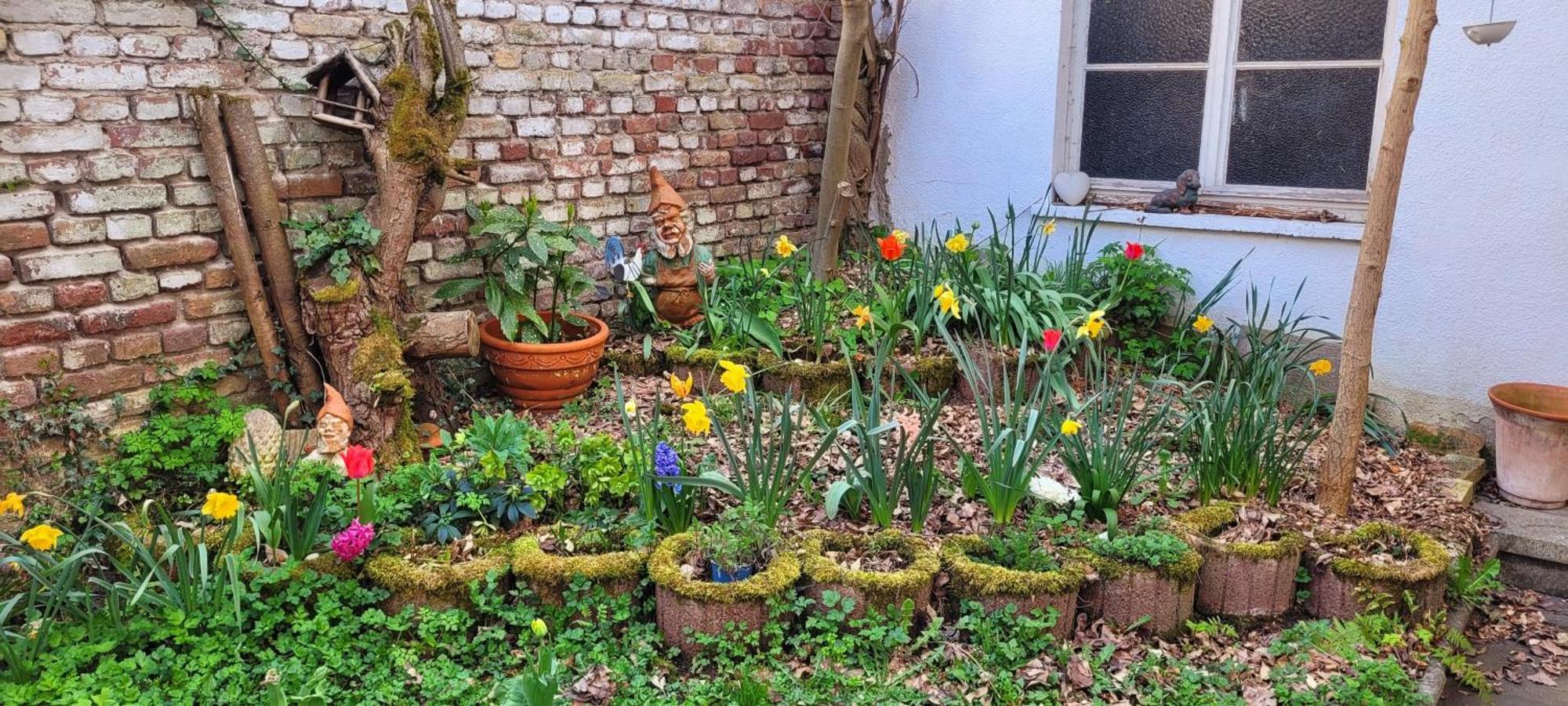 Urlaub Am Rhein, Ferienwohnung Mit Garten Boppard Bagian luar foto
