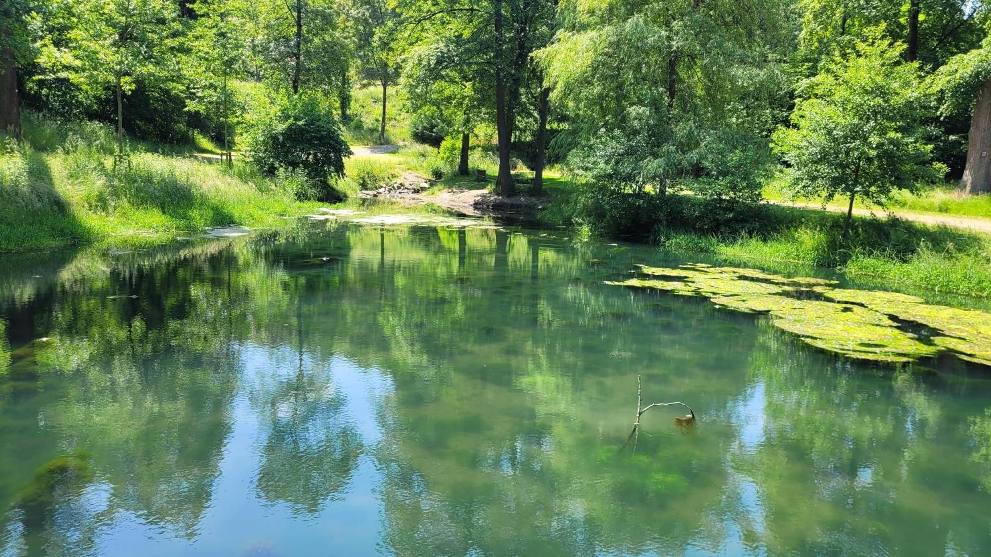 Urlaub Am Rhein, Ferienwohnung Mit Garten Boppard Bagian luar foto