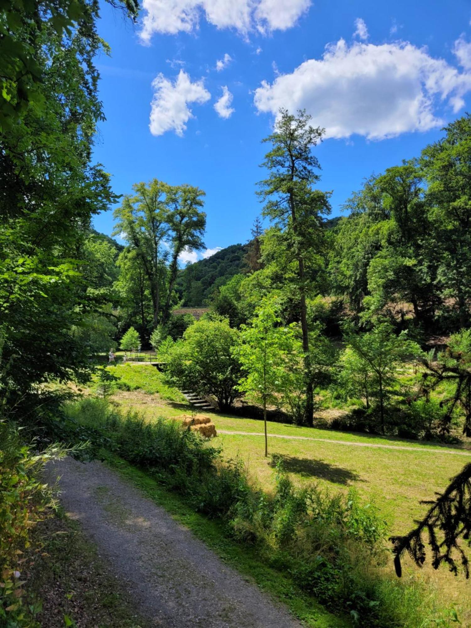 Urlaub Am Rhein, Ferienwohnung Mit Garten Boppard Bagian luar foto