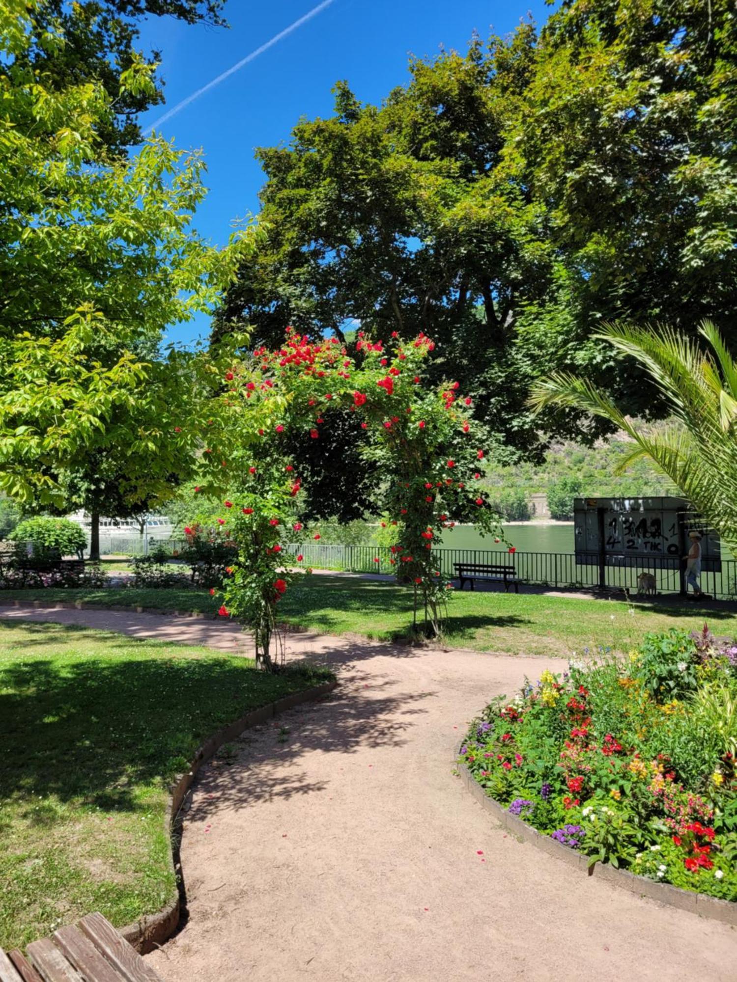 Urlaub Am Rhein, Ferienwohnung Mit Garten Boppard Bagian luar foto
