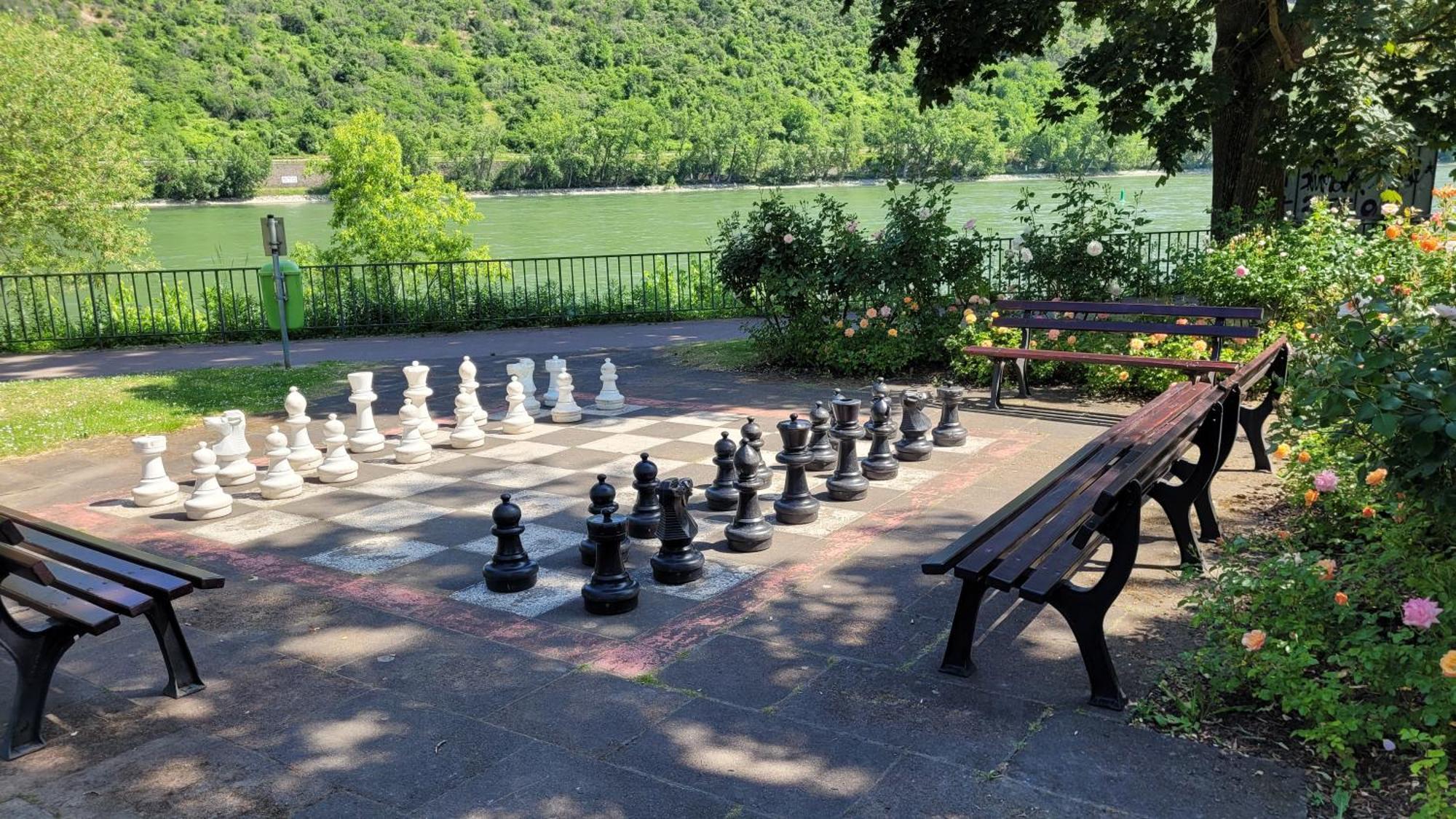 Urlaub Am Rhein, Ferienwohnung Mit Garten Boppard Bagian luar foto